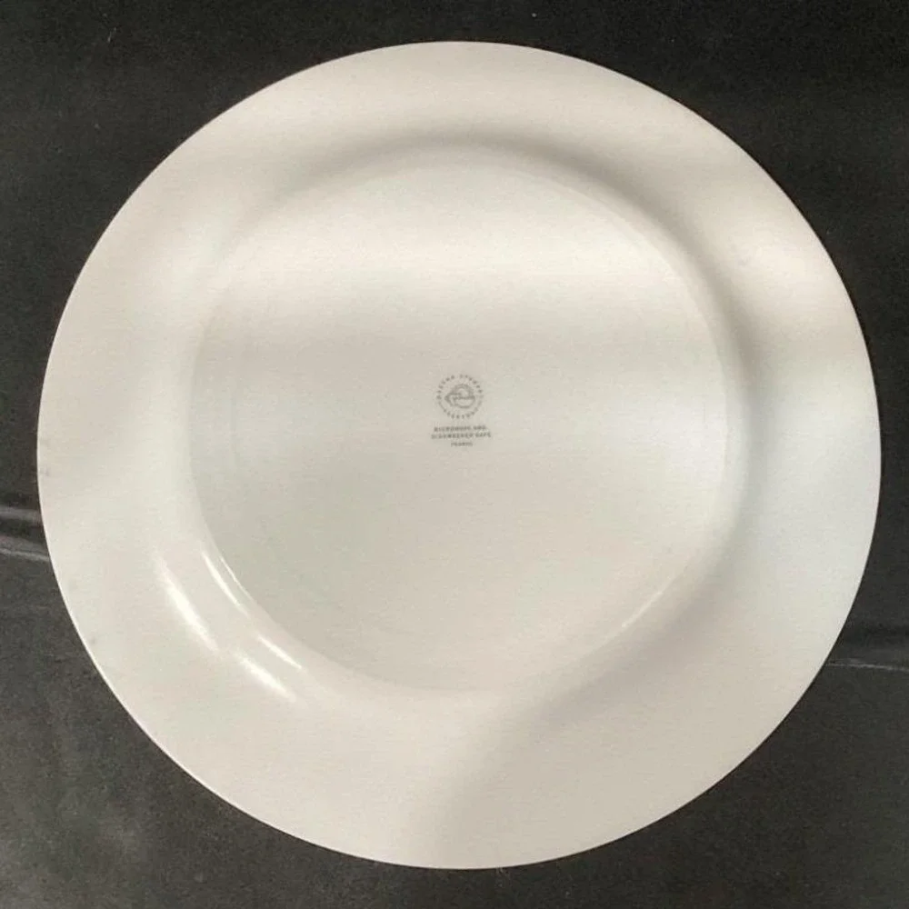 Martha Stewart Everyday Garden Trellis Dinner Plates, Set‎ of 2, White Stoneware